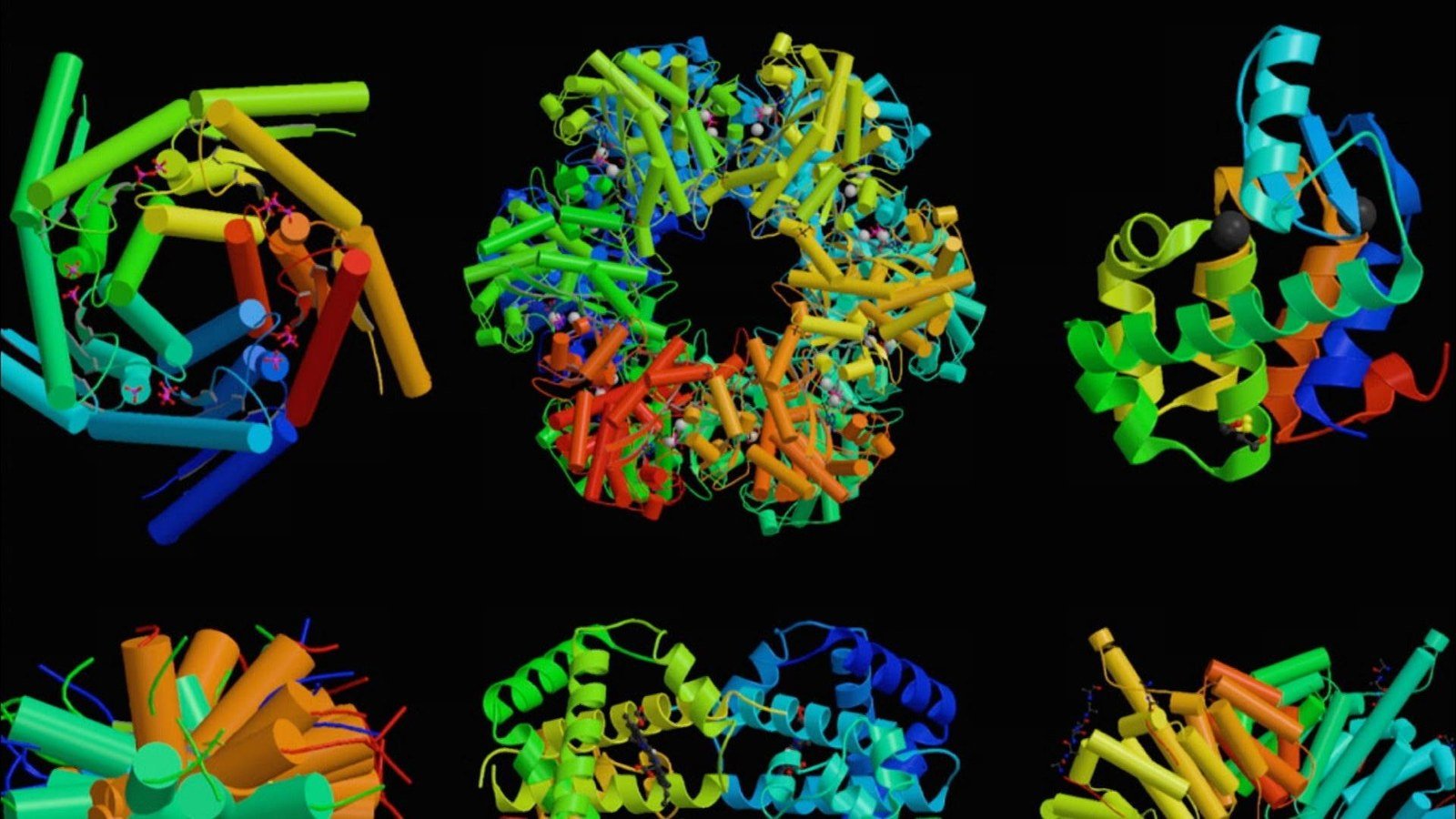 Protein structures modelled in Fold-It, the game the headdress pays homage to